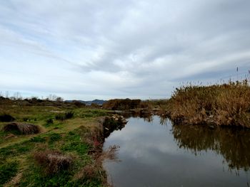 Aspecto en invierno, la escasa vegetación permite la aproximación al río.