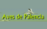 Aves de Palencia