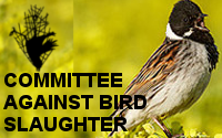Comité contra la matanza de aves (CABS)