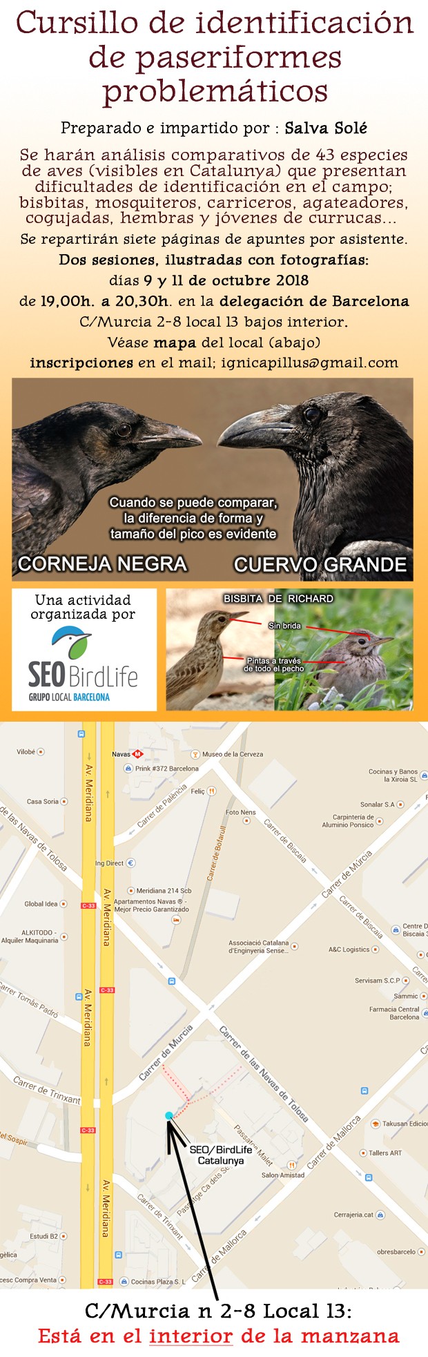 Curso identificación de paseriformes octubre 2018 - Grupo Local SEO Barcelona