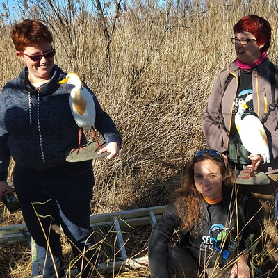  Salida a la Reserva Ornitológica Finca San Miguel - noviembre 2015 - Grupo Local SEO Barcelona