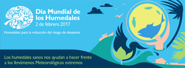 Día Mundial de los Humedales- 5 de febrero 2017 - Grupo Local SEO Barcelona - Parque Diagonal Mar