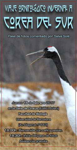 Viaje ornitológico invernal a Corea del Sur - febrero 2017 - Grupo Local SEO Barcelona
