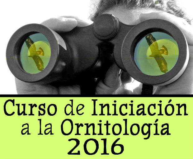 curso-iniciacion-ornitologia-septiembre-2016-lateral