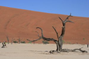 Duna - Fotografía de Javier Ruiz