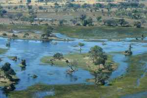 Delta del Okawango