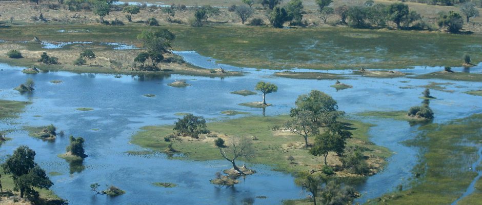Delta del Okawango