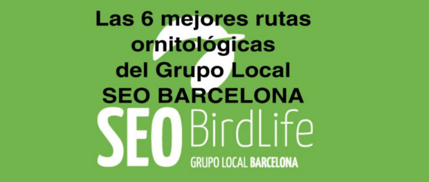 Las 6 mejores rutas ornitológicas del Grupo Local SEO BARCELONA