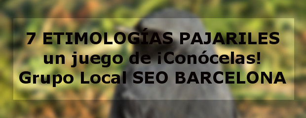 7 etimologías pajariles - Grupo Local SEO BArcelona