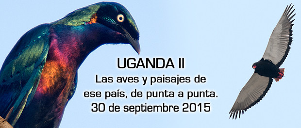 Las aves y paisajes de Uganda de punta a punta