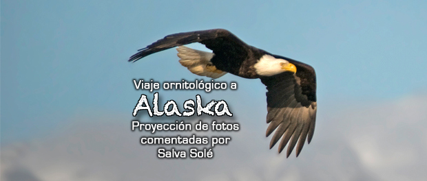 Viaje ornitológico a Alaska - jueves 30 de marzo 2017 a las 18:30