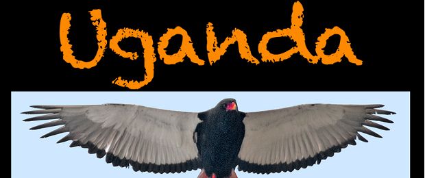 Uganda, un viaje ornitológico del Grupo Local SEO Barcelona, proyección de fotos comentada