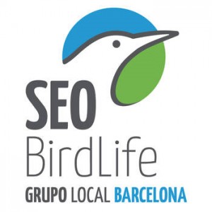 Grupo Local SEO Barcelona (logotipo)