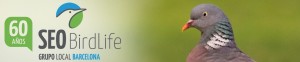 Grupo local SEO Barcelona - cabecera blog