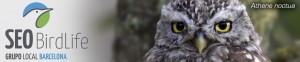 Grupo local SEO Barcelona - cabecera blog 1