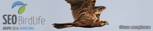 Grupo Local SEO Barcelona
