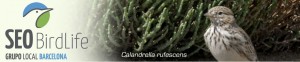 Grupo local SEO Barcelona - cabecera blog 3