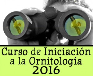 Curso Iniciación ornitología 2016 - Grupo SEO-BARCELONA
