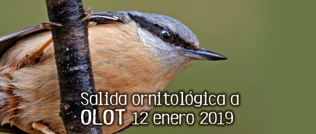Salida ornitológica a Olot – 12 de enero 2019 – Grupo Local SEO Barcelona