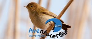 Salida a la Vall d’Horta con el Club Aventurer@s - octubre 2016