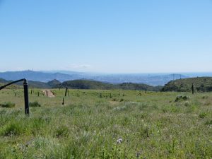Reseña de la salida matinal en el Garraf