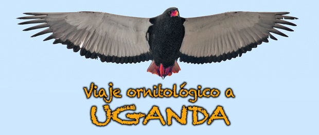 Charla viaje ornitológico a Uganda - 25 de mayo 2017