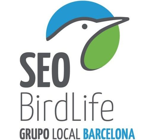 Grupo Local SEO Barcelona