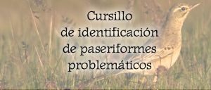 Cursillo de identificación de paseriformes problemáticos 4 y 6 de junio 2018