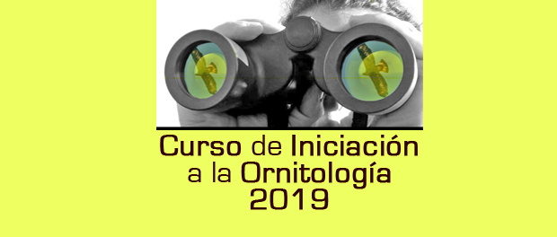 Curso de introducción a la ornitología - abril 2019
