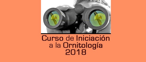 Curso de introducción a la ornitología - abril 2018