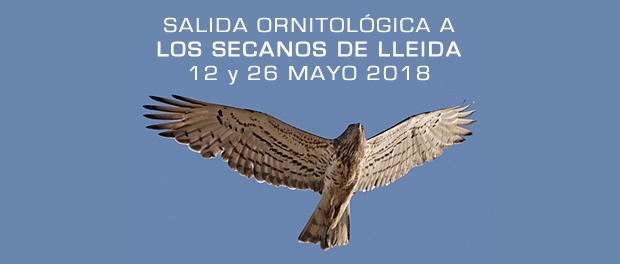Excursión ornitológica a las Estepas de Lleida mayo 2018