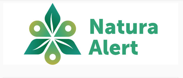 Ciencia ciudadana y proyecto IBAs: Natura Alert