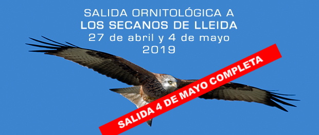 Excursiones ornitológicas a los secanos de Lleida - primavera 2019 – Grupo Local SEO Barcelona