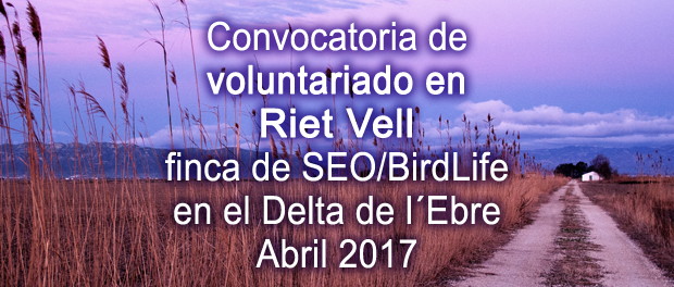 Voluntariado ambiental en el Delta del Ebro - SEO/Birdlife